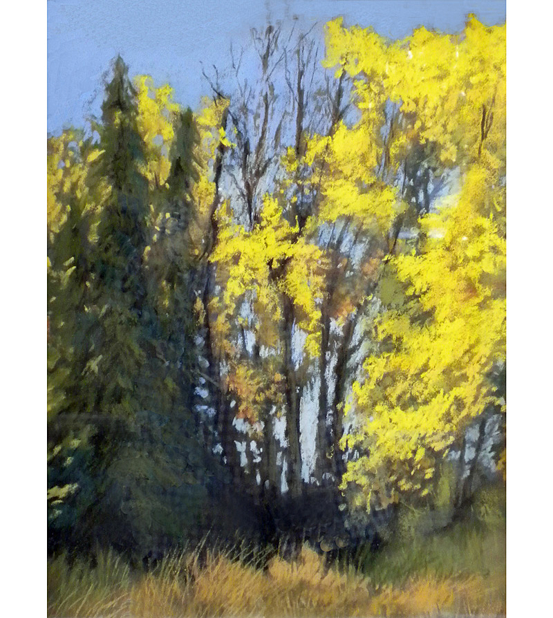 ValleyGallery's tweet image. Maralyn Miller paints the golden, rolling hills of California, because she loves the hills and the rhythm of the lights and shadows as they sweep across the horizon.  &quot;Quaking Aspen,&quot; 20 x 16 inches, pastels

#pastels #aspentree #treeline #trees #landscape #rhythm #light #yellow