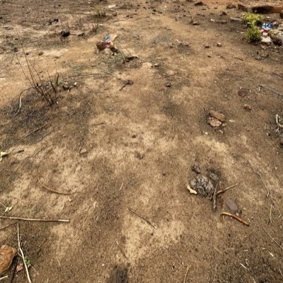 IssouKenn's tweet image. #NouvellePhotoDeProfil