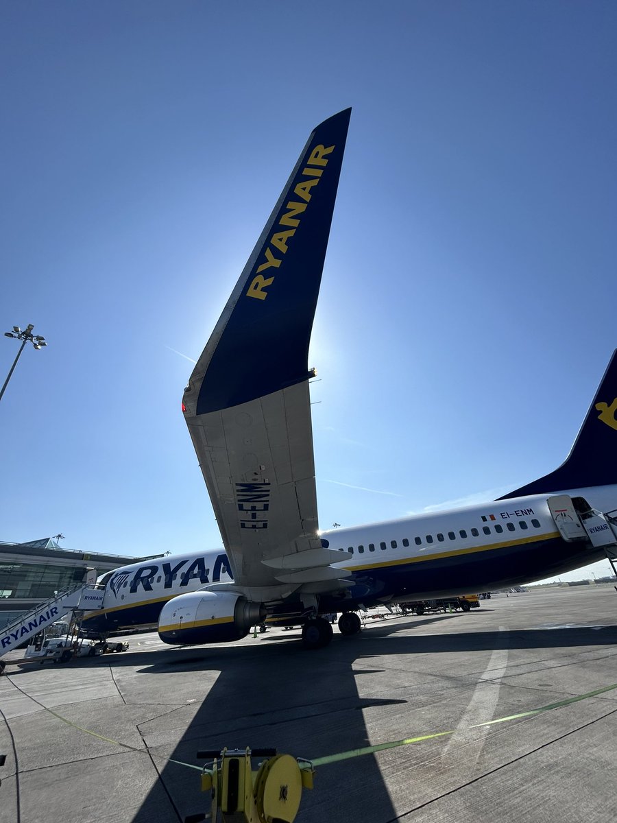 Donna Mcgann tweet media