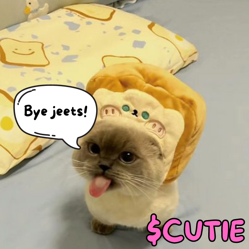 CutieOnSol's tweet photo. All cutie has to say is.. https://t.co/73xMQSyu77