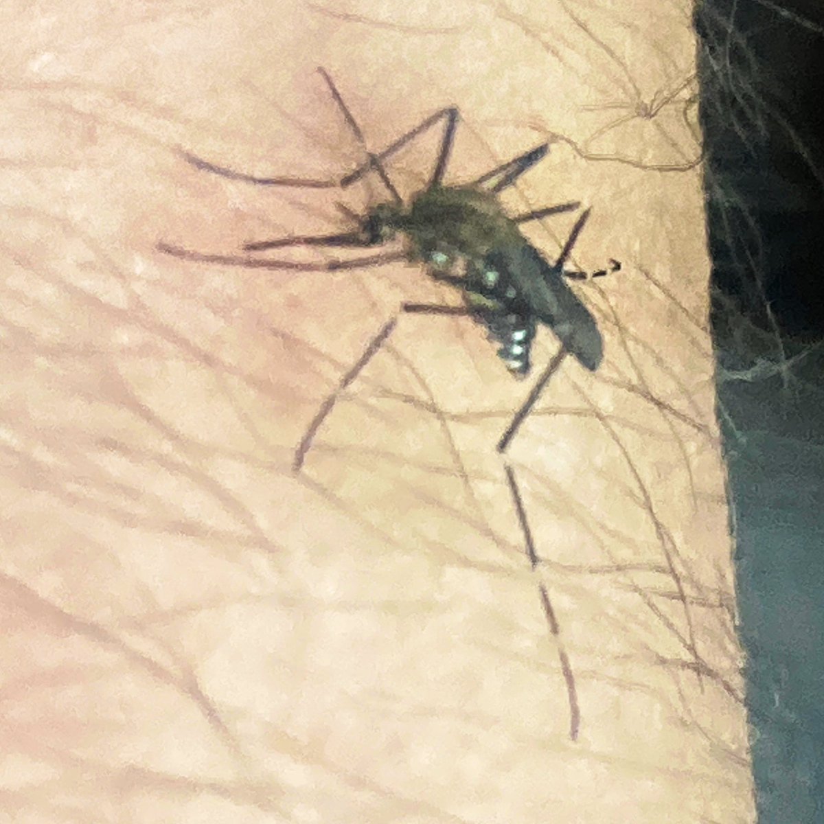 Martin Jurica ​ ​ ​ 🐕 tweet media