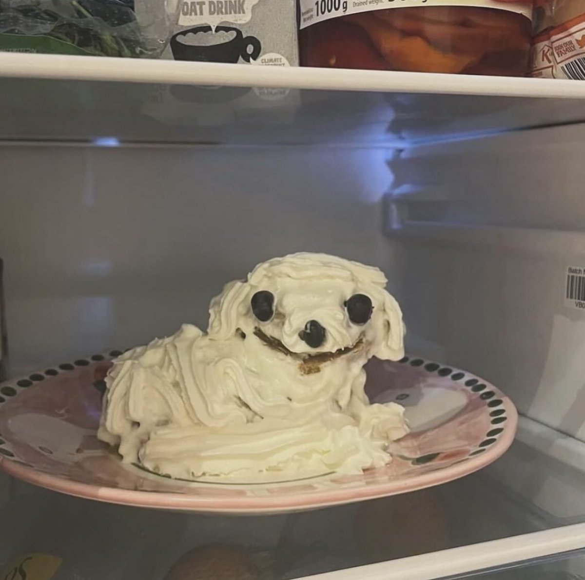 Roy Drones Jr (@chiweethedog) on Twitter photo 