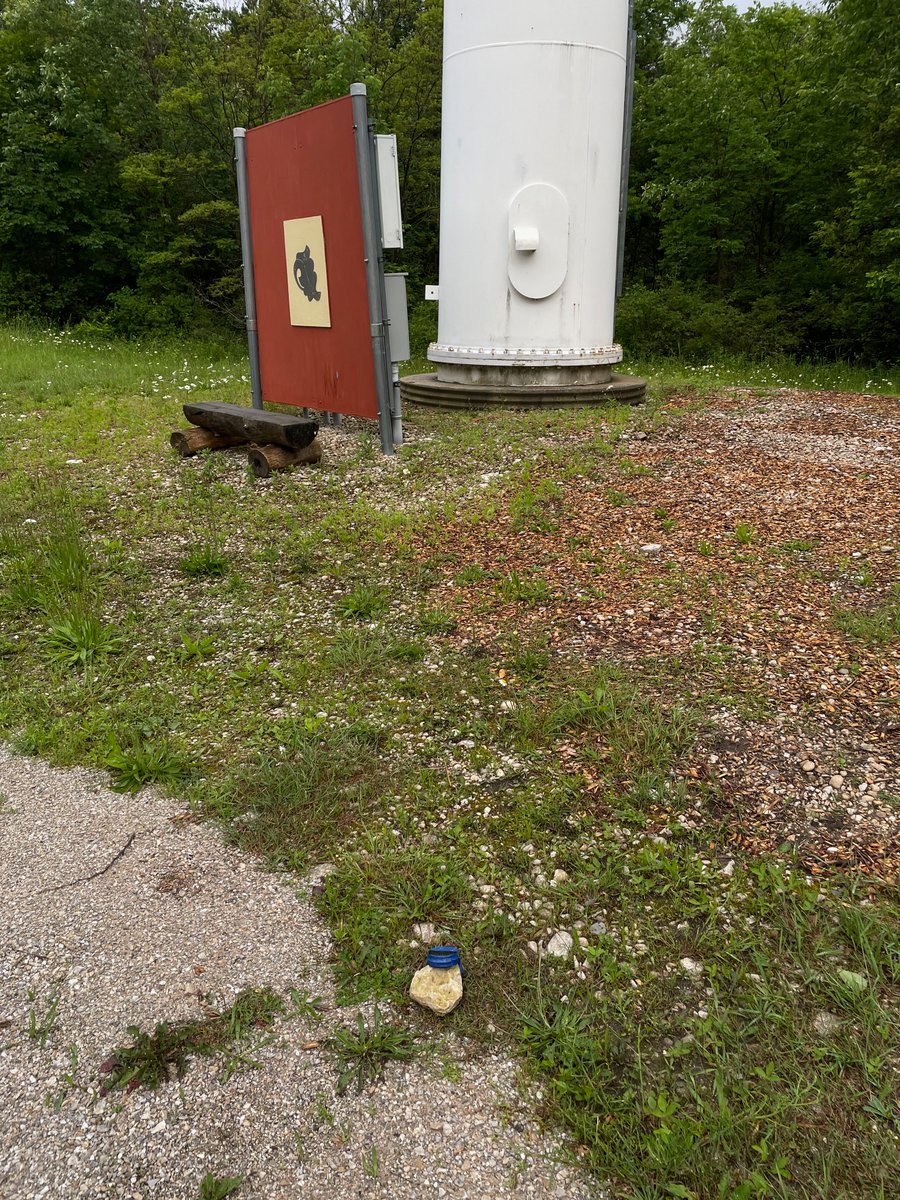 Brian Bartel @bbartel.bsky.social tweet media