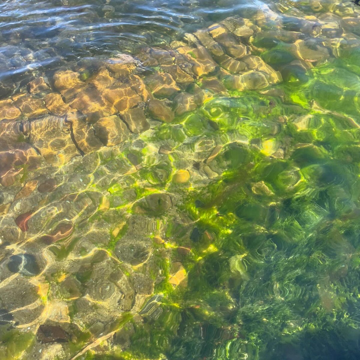 Klaire Connor tweet media