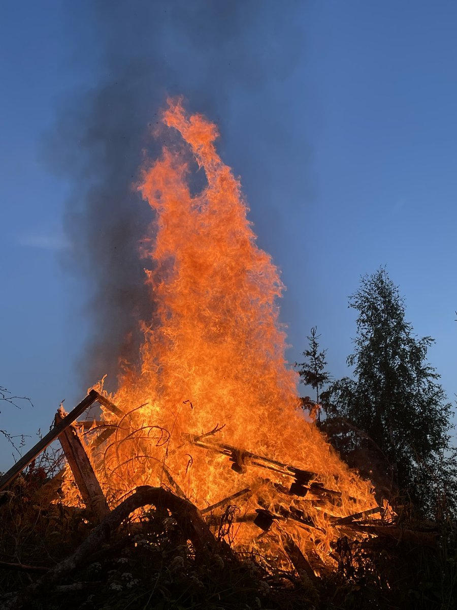 Kaimo Kuusk tweet media