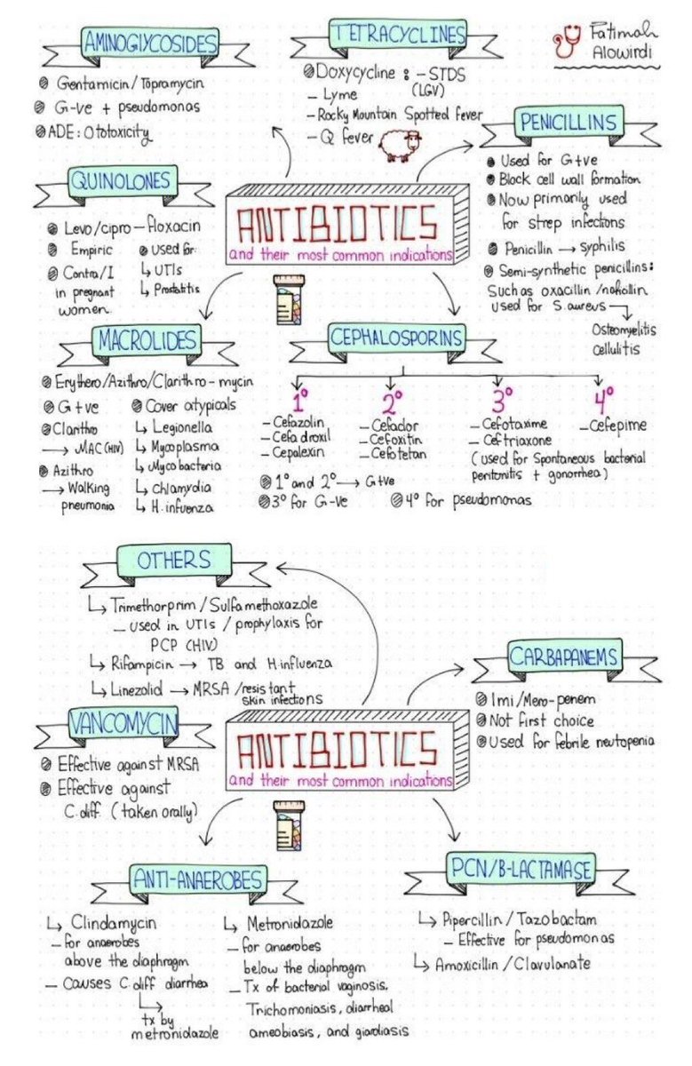 imedverse's tweet image. antibiotic and their most important indications #meded #medx #antibiotics