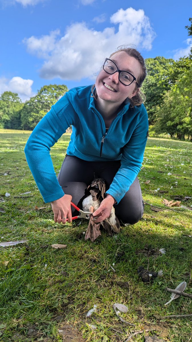 Kane Brides tweet media