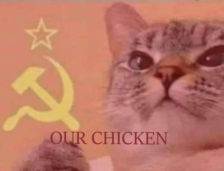 My cats when I get home with my dinner