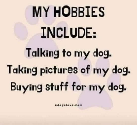 HeckinGoodDogs's tweet image. 