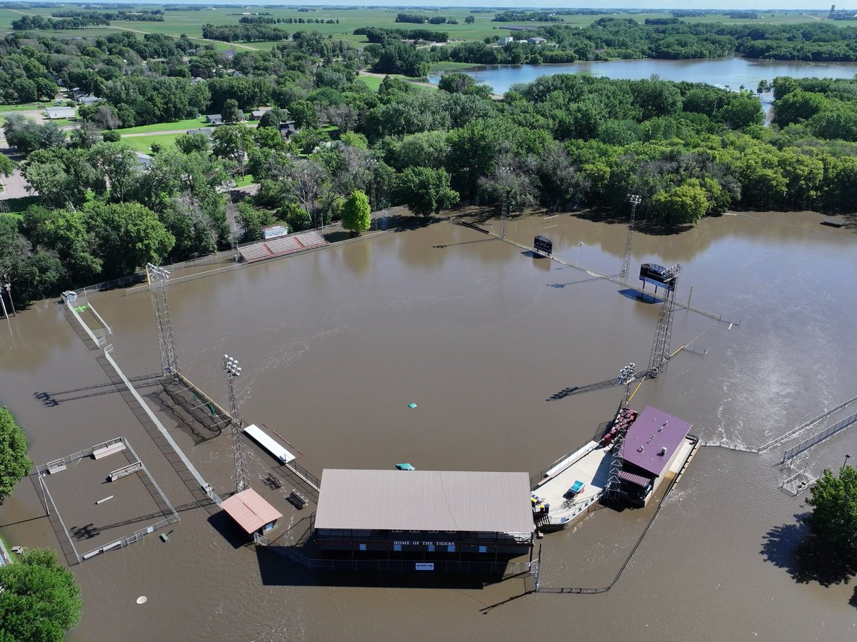 Springfield Tigers tweet media