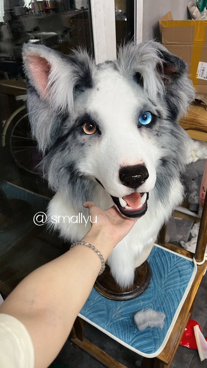 smallyuXP's tweet image. Aaaaaaaah
DOG！DOG！DOG！DOG！LOVE！