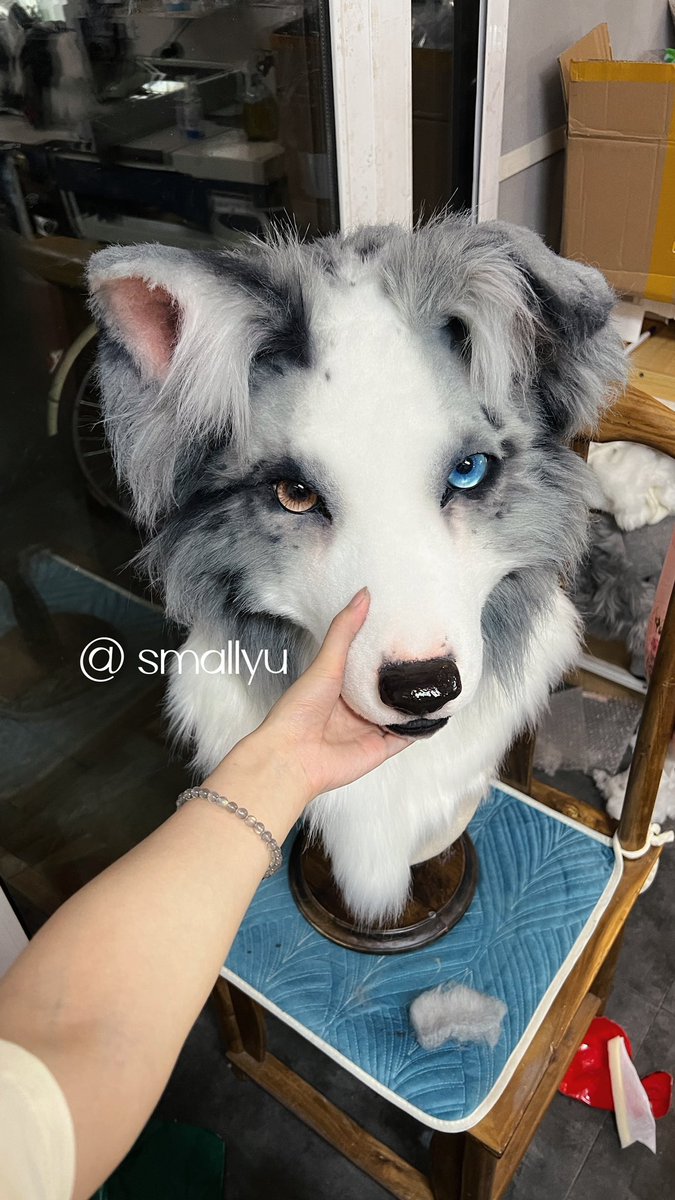 smallyuXP's tweet image. Aaaaaaaah
DOG！DOG！DOG！DOG！LOVE！