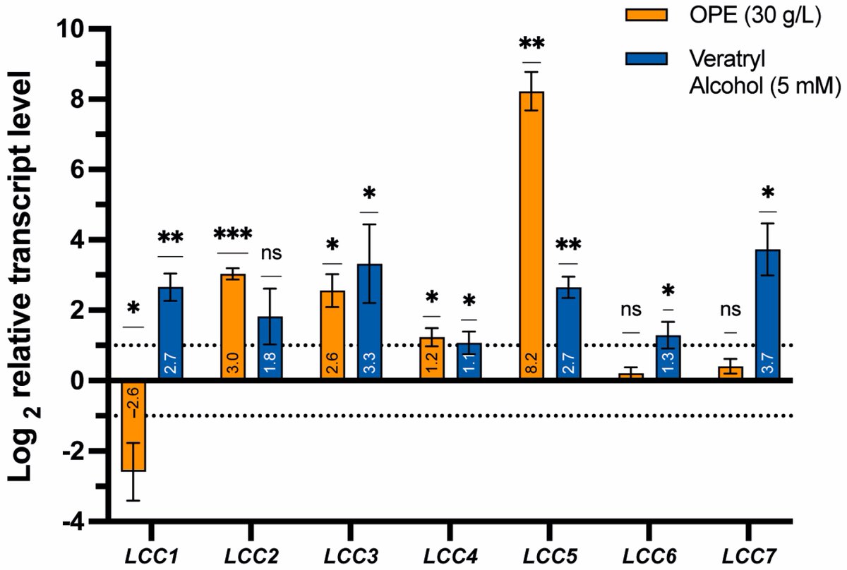 Our PhD researcher Simon Vandelook has published a paper in the Journal of Fungi! In this paper, he delves into transcriptional induction of laccase enzymes in Trametes versicolor.

<a href="/FWOVlaanderen/">FWO</a> <a href="/VUBrussel/">VUB</a> 

mdpi.com/2309-608X/10/6…