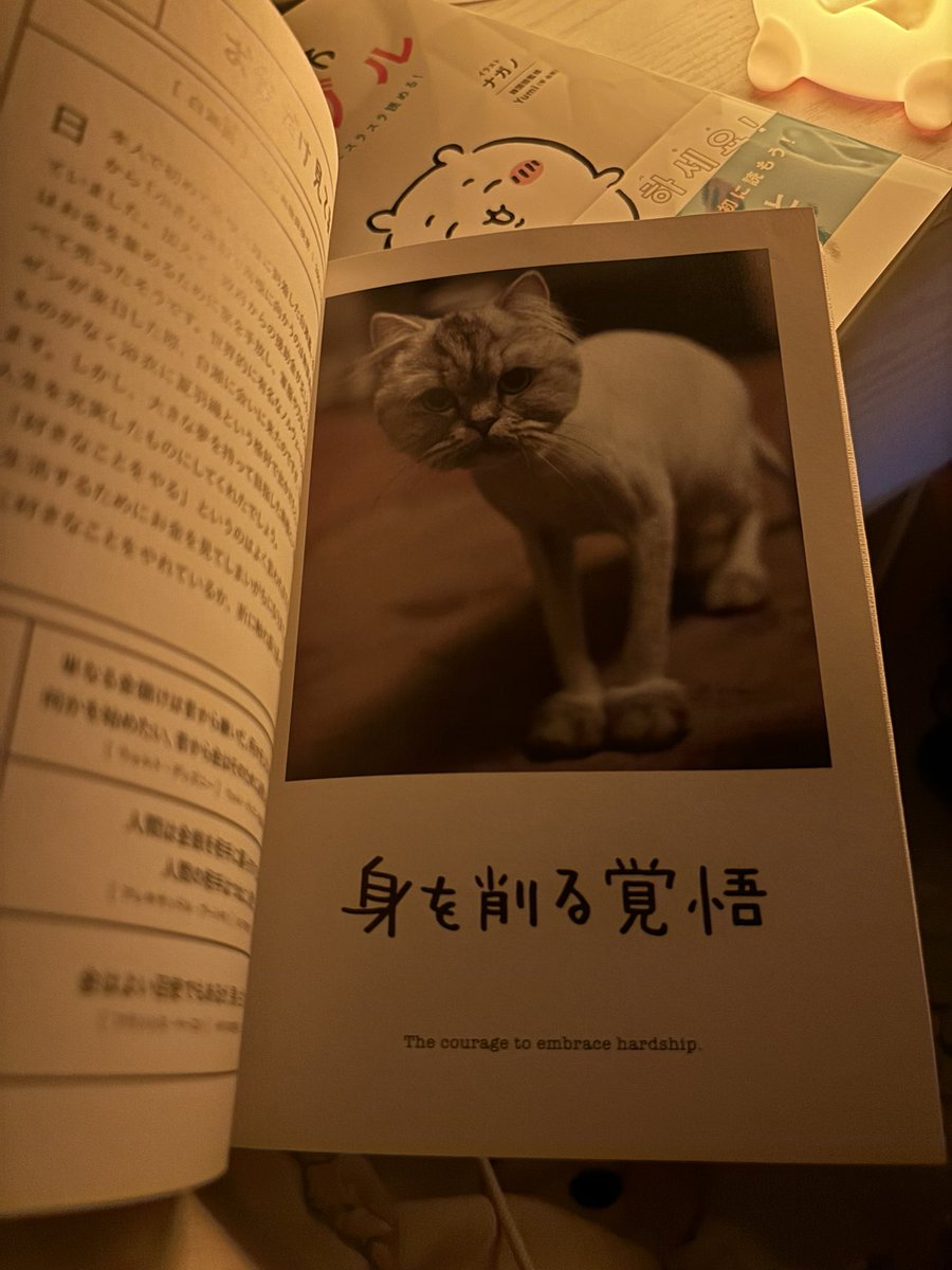 kuruchi0425's tweet photo. 最近寝る前に本読むようにしてるんだけど
可愛すぎて逆に内容入ってこないよ？
癒し特化すぎる🐱︎💕︎︎︎💕︎︎ https://t.co/yUmqVLnKdO
