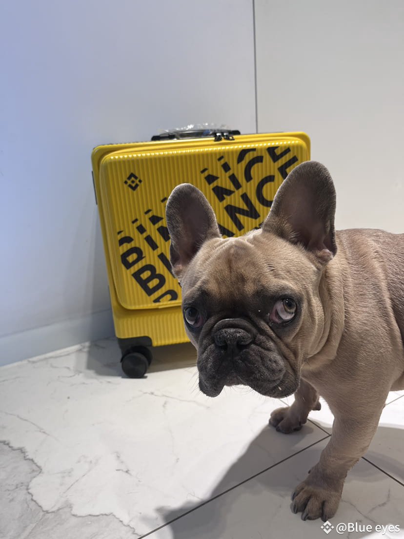 CmParihar's tweet image. 2024 won&apos;t be a favorable year for cryptocurrency sellers, as the market is shifting towards accumulation and long- term investing.

#Binance #Tournament #CryptoTradingGuide