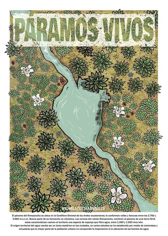 oac2023's tweet photo. 🏞️🌱💧Hoy 23 de Junio celebramos el Dia Nacional de los #Páramos.
Es compromiso de todos cuidarlos pues son nuestros más grandes tesoros. https://t.co/q4h6dHkyan