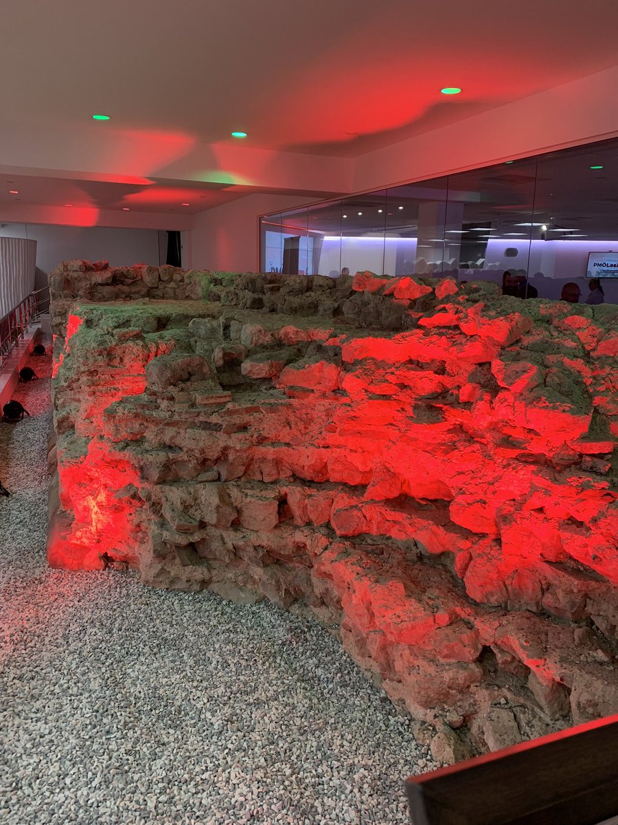 LouiseBarkerNHS's tweet image. It’s been a great week for walking.  This week was London, #pmoconf, Moulin Rouge and the westies!  478.4 miles YTD for #nhs1000miles so 22 miles is the target next week to hit the half way mark.