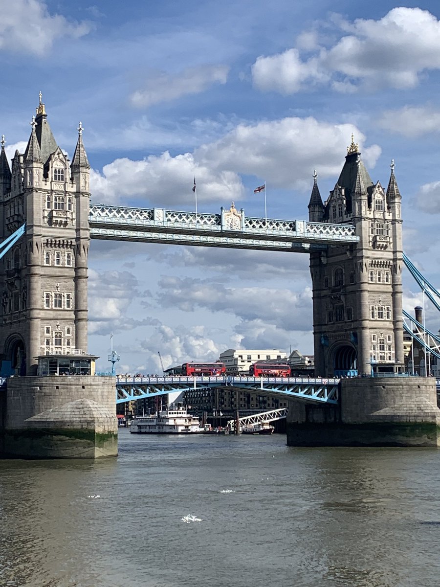 LouiseBarkerNHS's tweet image. It’s been a great week for walking.  This week was London, #pmoconf, Moulin Rouge and the westies!  478.4 miles YTD for #nhs1000miles so 22 miles is the target next week to hit the half way mark.