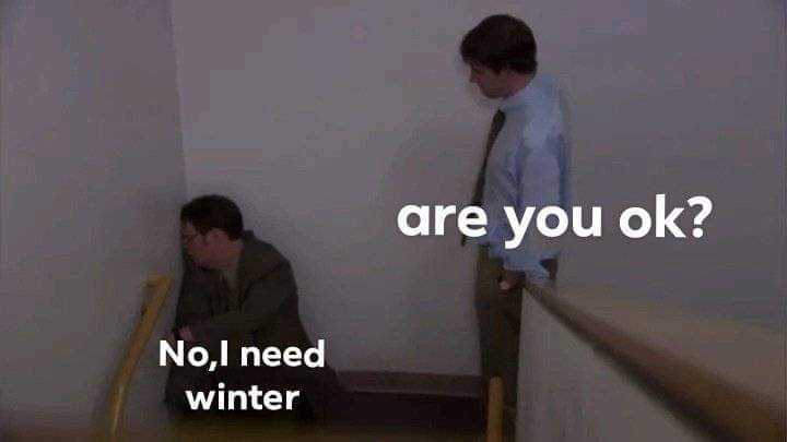 True Memes (@truememes_) on Twitter photo 