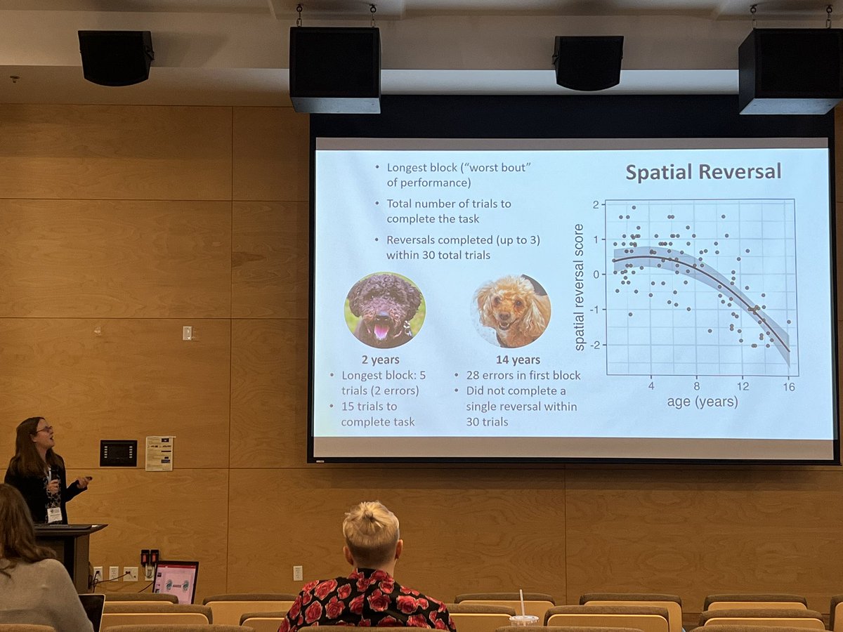 Stephanie Hargrave presenting <a href="/DogAgingProject/">Dog Aging Project</a> up now at #CSC2024 - Characterising Dog Cognitive Aging using spontaneous problem-solving measures - development of a battery of tests #science #dogs
