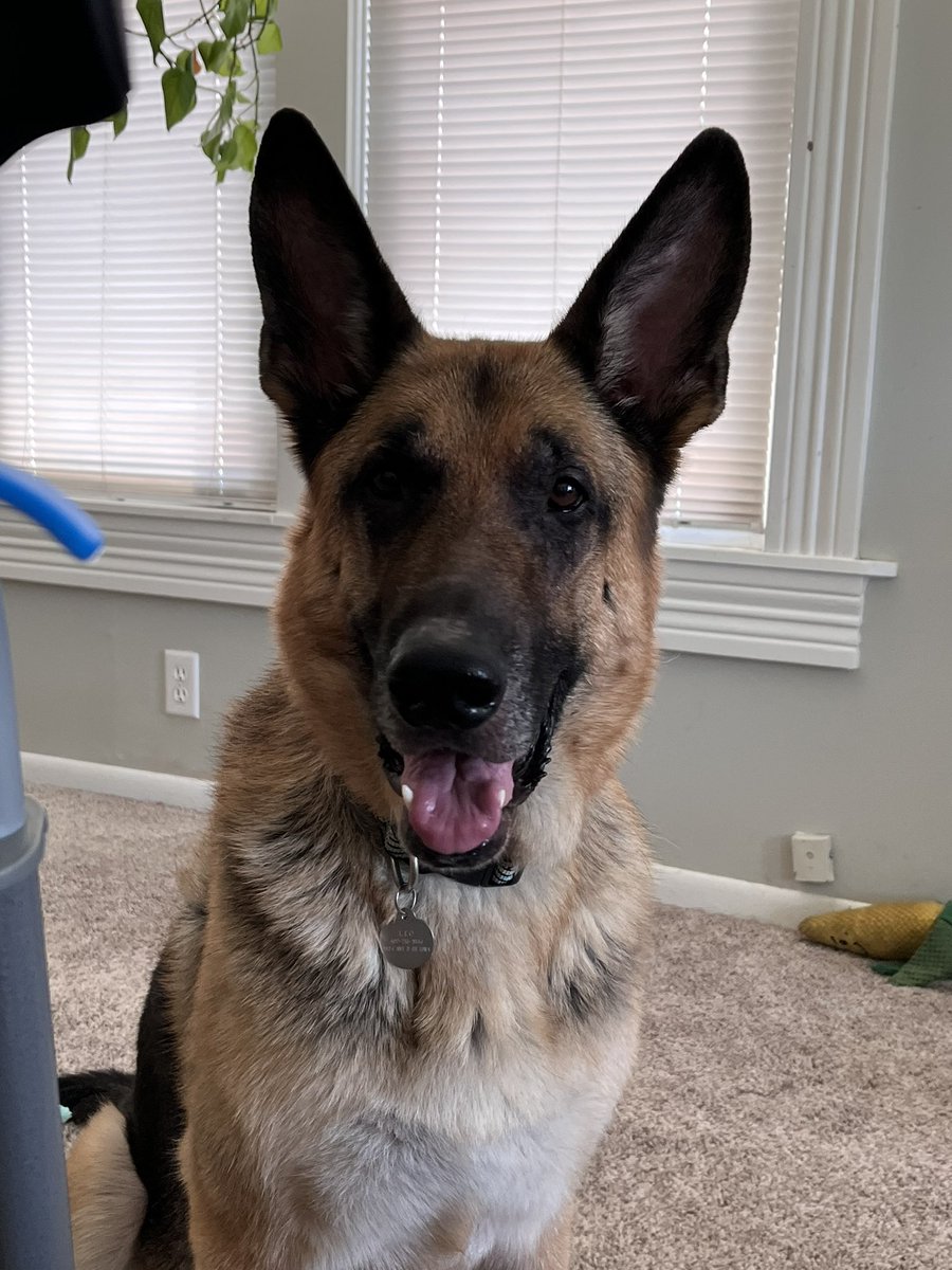 My daughter and granddaughter just brought me chicken and couscous soup they made this morning. Leo was very happy to see granddaughter. My last day of radiation is tomorrow, been rough, I’ve lost over 20lbs in about 3 weeks but wouldn’t recommend that diet   Cancer sucks