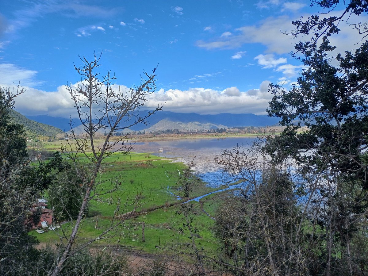 BCerdaPaola's tweet photo. Se mueren lo bello 🤩
#Laguna de #Aculeo https://t.co/ZQfuTq3vvC