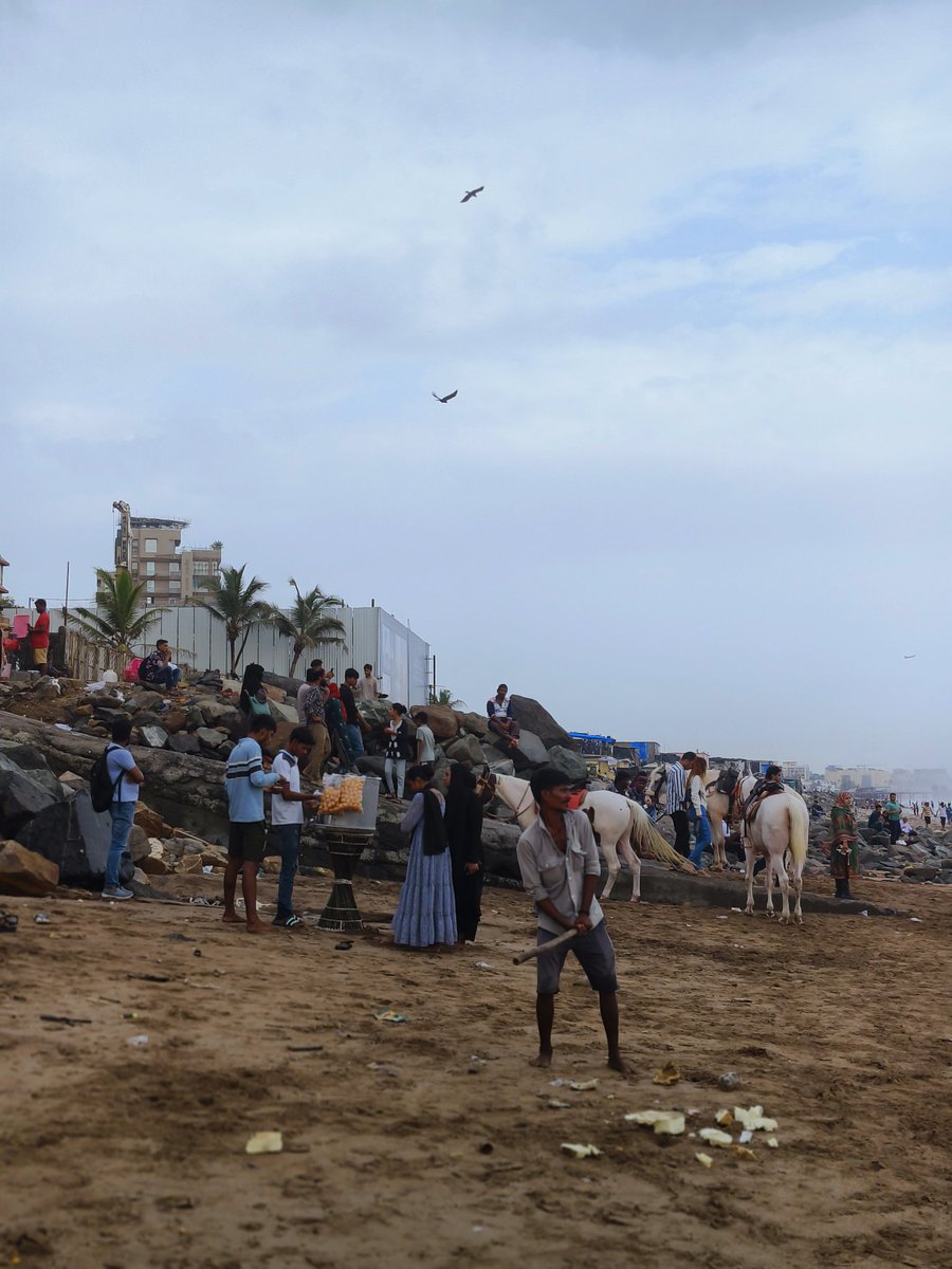 Salona Bains Joshi (@nonabains) on Twitter photo 14 horses and carriages on Versova beach. people taking rides on weekends, horses being whipped mercilessly to run faster. This is supposedly illegal and yet it is happening freely. Please please help put a stop to this. <a href="/asharmeet02/">Meet Ashar</a> <a href="/PetaIndia/">PETA India</a> <a href="/MumbaiPolice/">मुंबई पोलीस - Mumbai Police</a> 14 horses and carriages on Versova beach. people taking rides on weekends, horses being whipped mercilessly to run faster. This is supposedly illegal and yet it is happening freely. Please please help put a stop to this. <a href="/asharmeet02/">Meet Ashar</a> <a href="/PetaIndia/">PETA India</a> <a href="/MumbaiPolice/">मुंबई पोलीस - Mumbai Police</a>