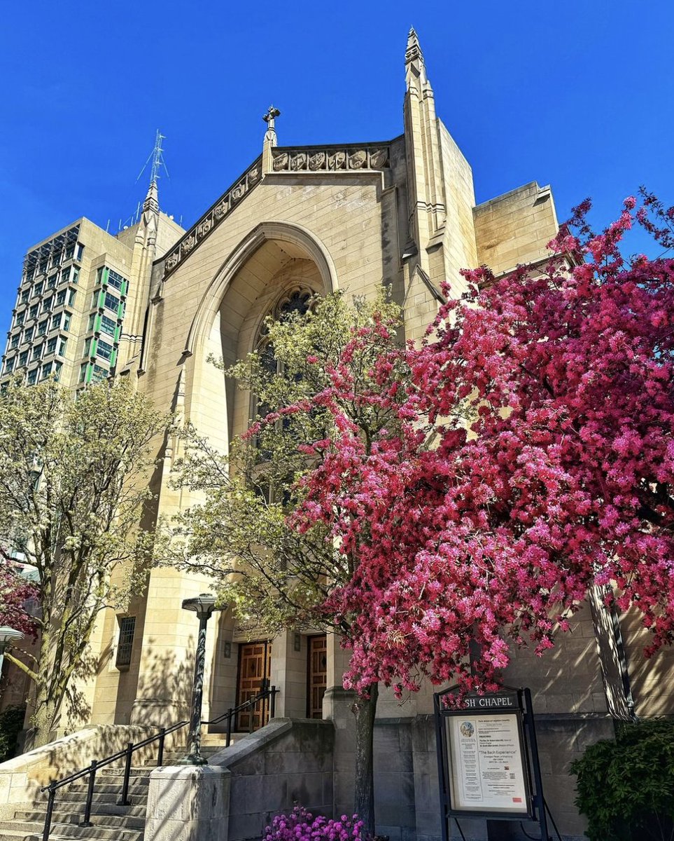 BU_Tweets's tweet image. Summer is in full boom in #TerrierTown. 🌺