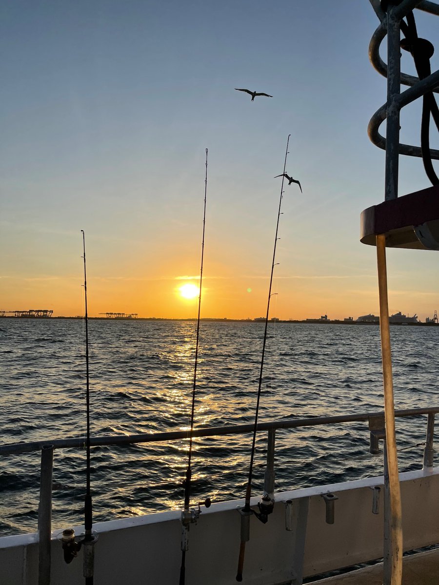 Grandpoohbah78's tweet photo. $PVSP is Artizen cannabis and we are growing some of the tastiest #Herbs on the planet. Come see what we are doing 
#OTC @MJBizDaily @champstradeshow #fishingtrip https://t.co/BpwPJQGhNx