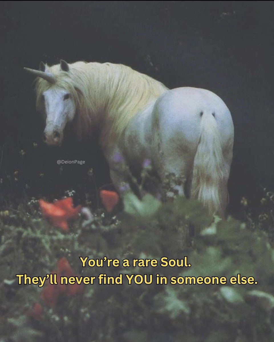 CalmDeion's tweet photo. You’re a rare Soul.
They’ll never find you in someone else. https://t.co/NdQ5l3tAjE