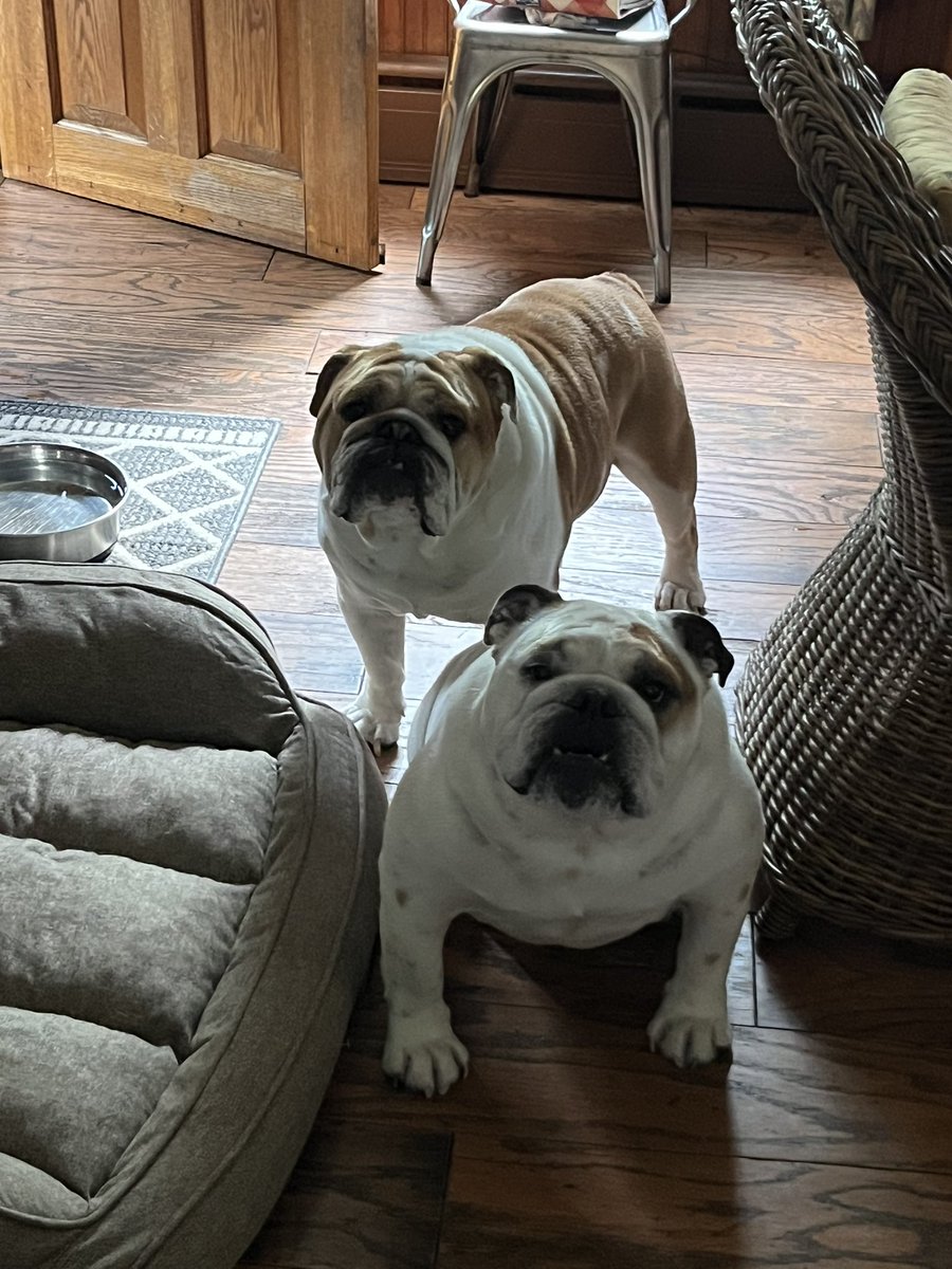 Chunk and Franklin loving summertime in The Bridge….