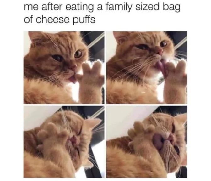 WholesomeMeme's tweet image. 