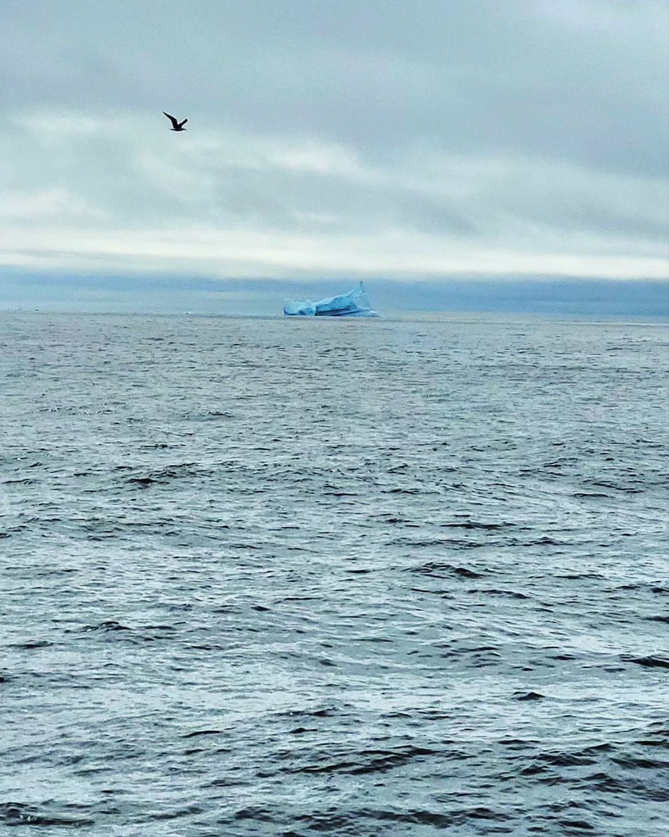 AbedHassoun's tweet photo. Sea ice, icebergs & a glimpse of #Greenland's mountains. Sampling in this area was truly magical & icy ๐ง
#MSM129
#NorthAtlanticOcean
#LabradorSea https://t.co/TAF9rUqvco