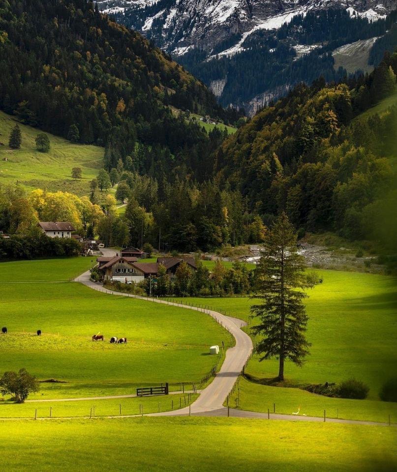 Switzerland 🇨🇭