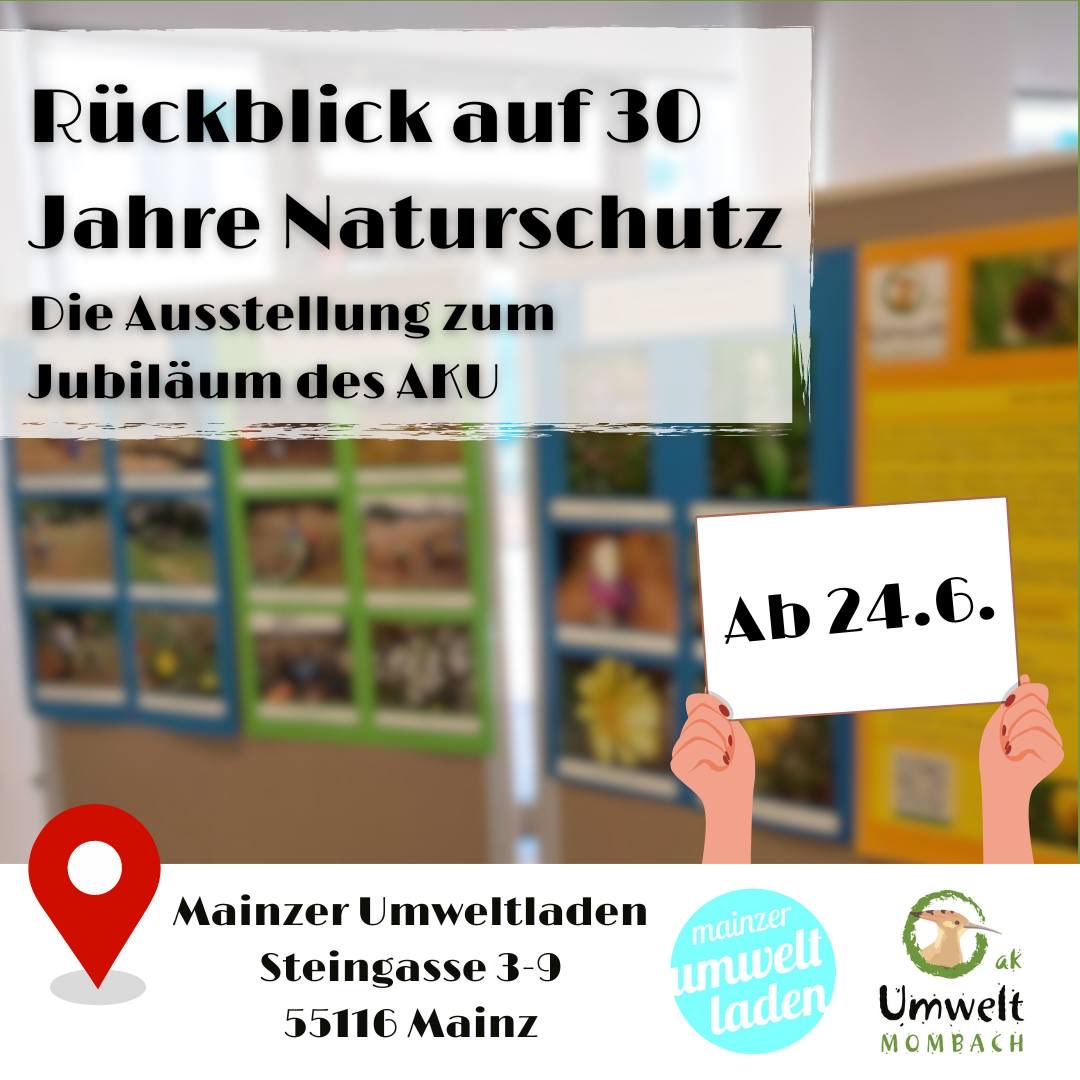 akumweltmombach's tweet photo. Schaut mal rein!
Heute startet unsere Ausstellung 30 Jahre Natur- und Umweltschutz im #Mainzer #Umweltladen. #Ausstellung 30 Jahre #Natur und #Umweltschutz. Am Dienstag, den 25.06.24 ist dann die Ausstellungseröffnung 30 Jahre Natur und Umweltschutz.
Besucht uns! https://t.co/hGPbFoSook