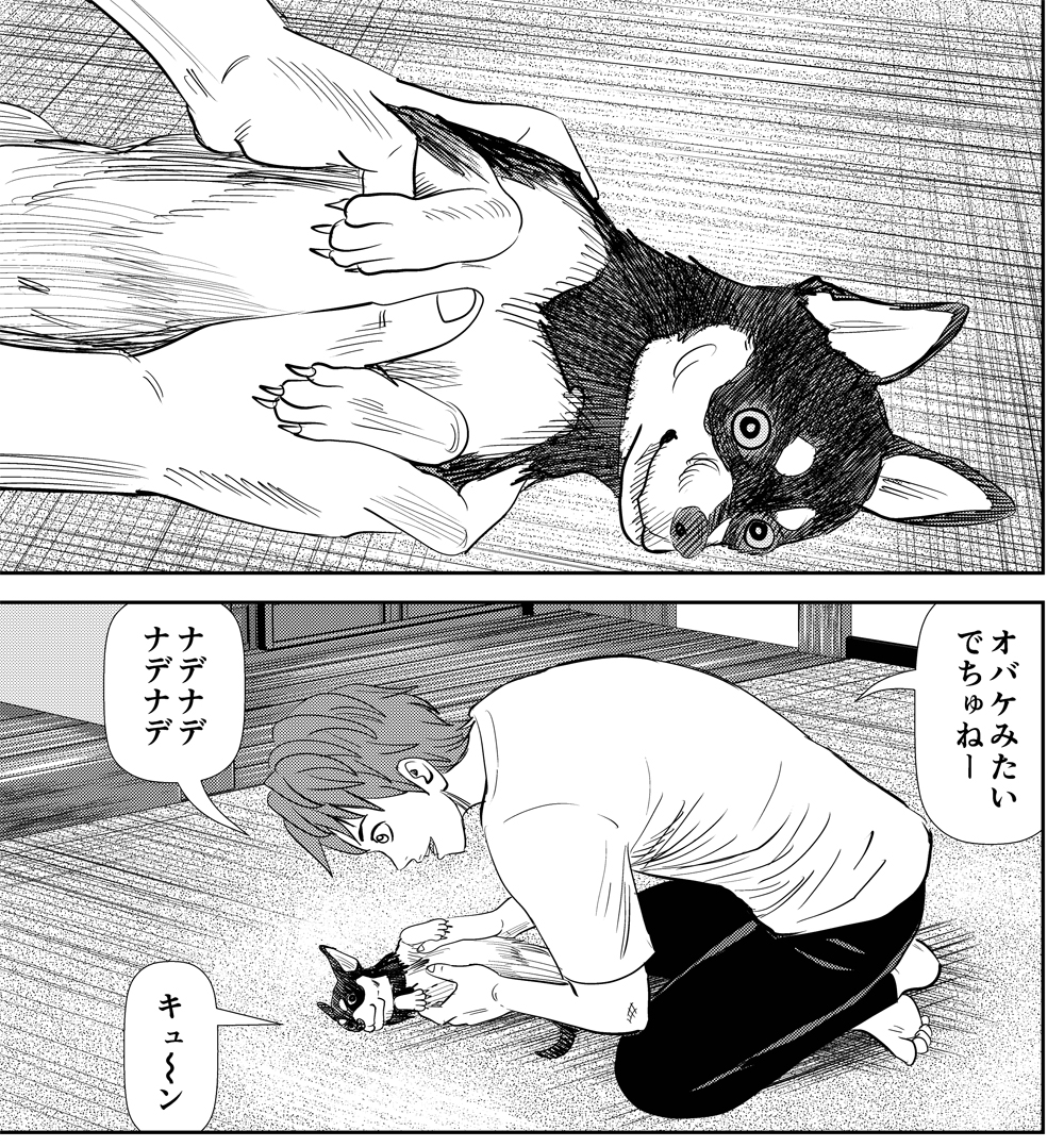 おはようございます。 たまに漫画の中に僕の犬が登場するので探してみてください。 これは2代目愛犬のマロン♂です。