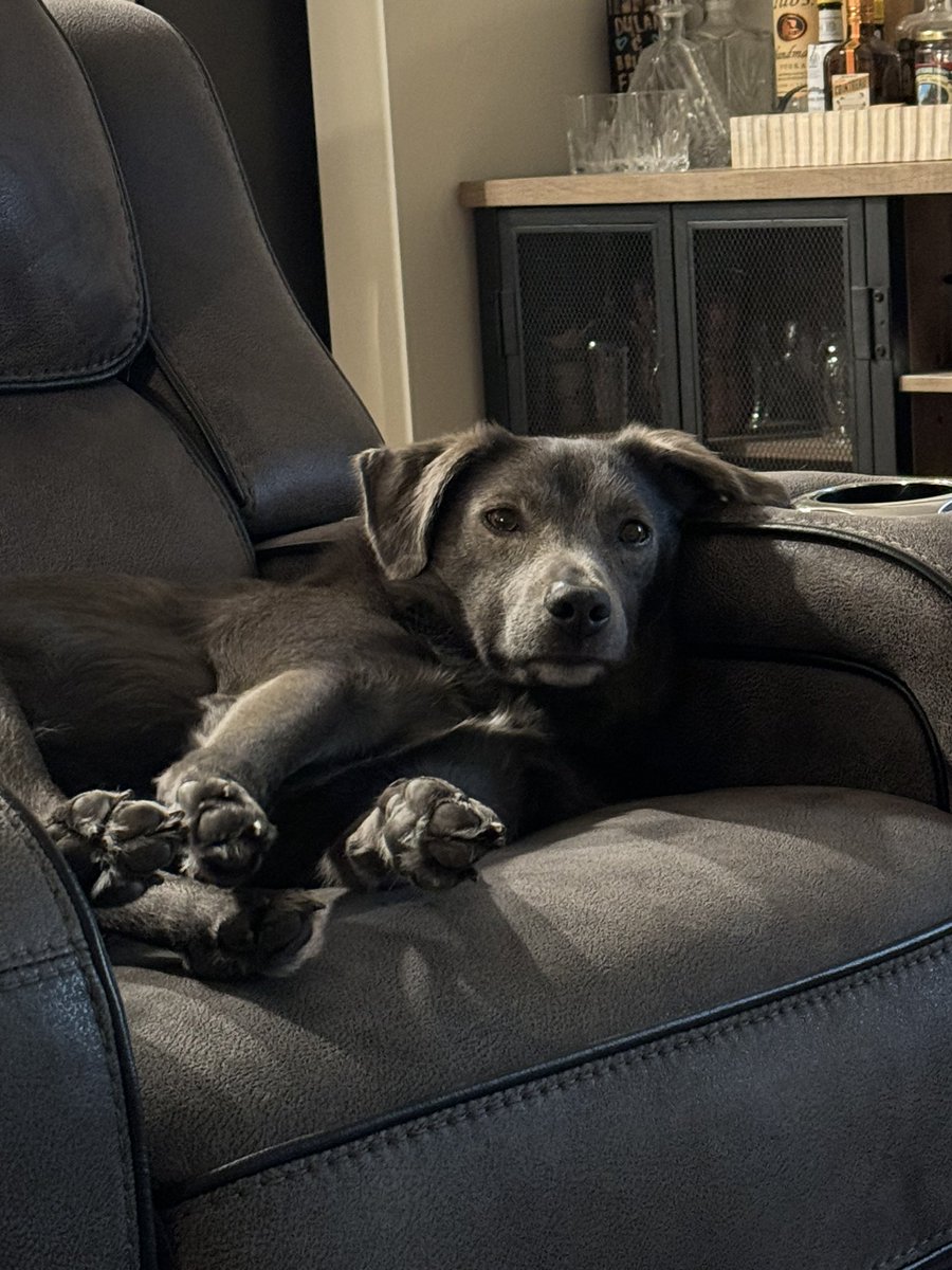 HerBeauty3421's tweet image. One week until we are Mr. and Mrs. Fogel. Nash is ready to get his house back from being full of wedding stuff. #TheGrandEvent #GrandGeneva #WeddingSeason2024