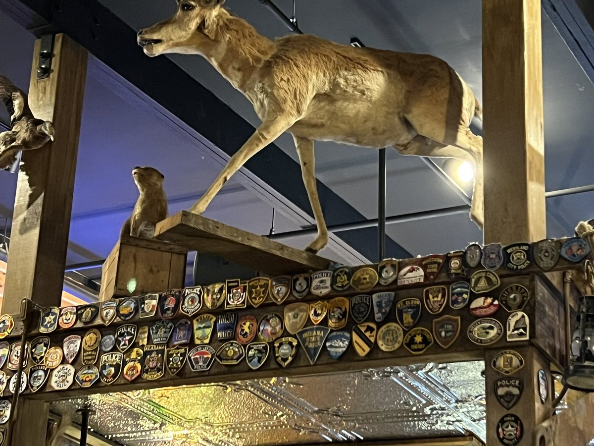 Karen Tritt tweet media