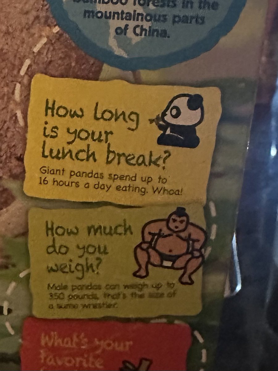 Practicing my first date questions