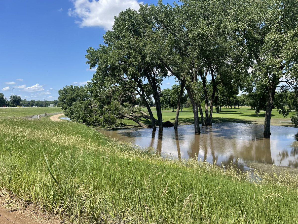 CCSFGolf tweet media