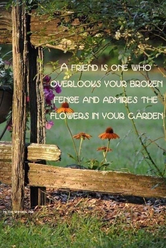 mel_ngct's tweet image. Rarity #SundayWord