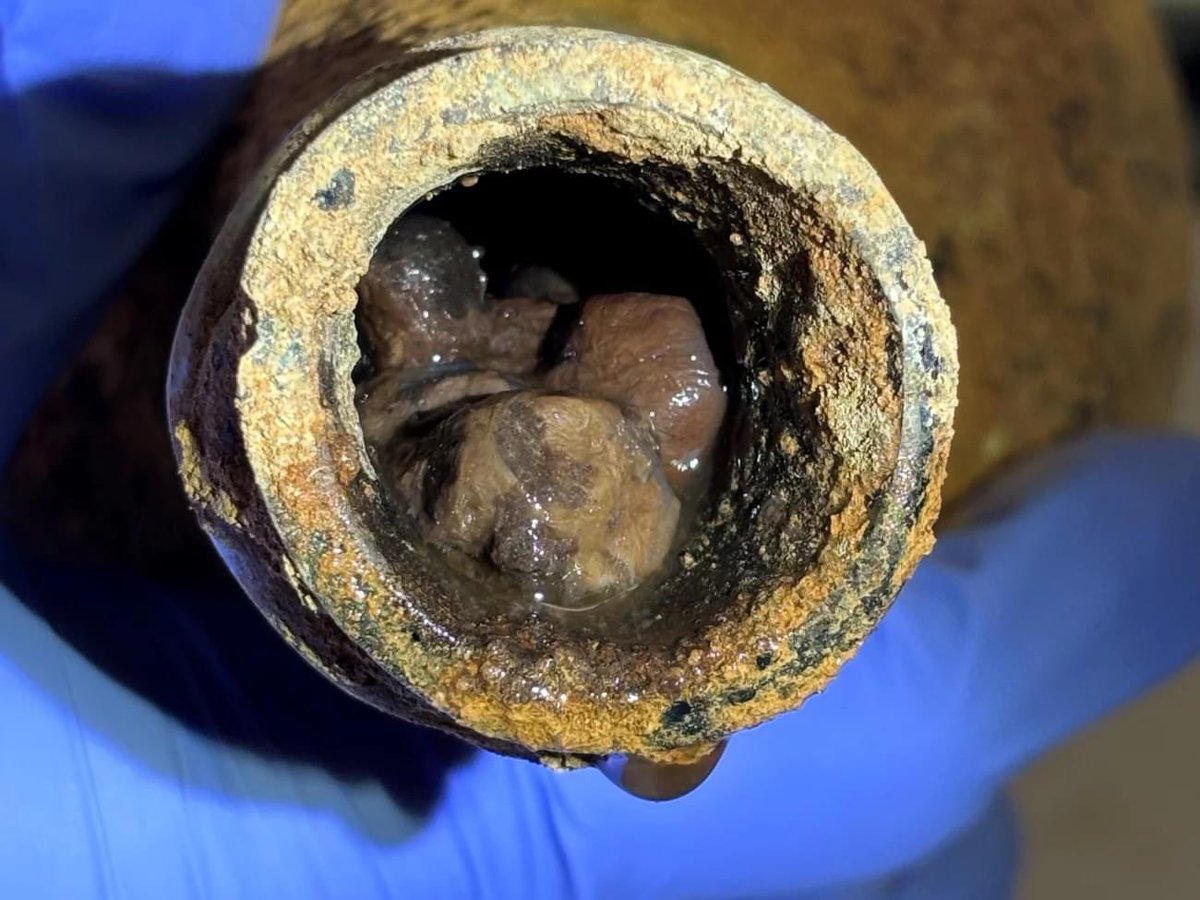 AmericasTable's tweet photo. Archaeologists @MountVernon recently unearthed 35 bottles of preserved cherries and berries dating prior to the American revolution. Read more about this and Martha Washington’s recipe @AmericasTable : https://t.co/MmgWDP16XB #foodhistory #recipes https://t.co/yTcGv94GwL