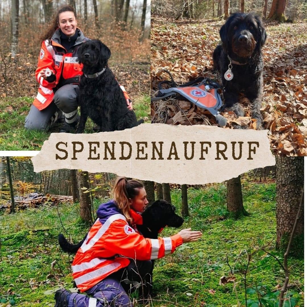 Dominik Bittner tweet media