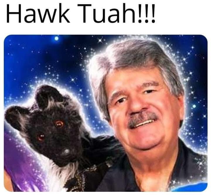 cardiffcity68's tweet image. Those who know know #spitthedog