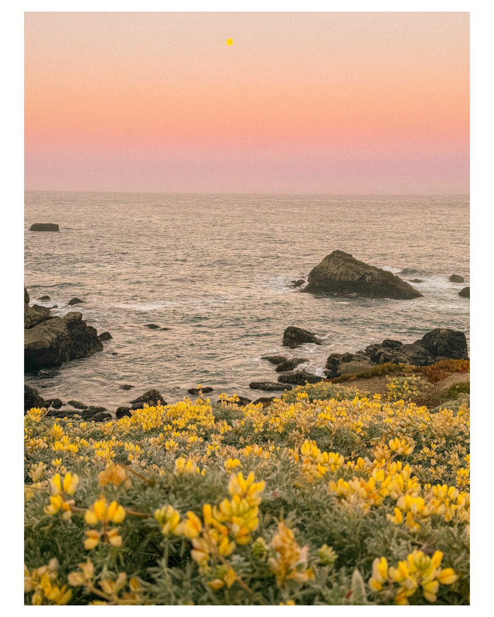 ryanadrift's tweet image. Spent the weekend on the coast with no service🧘‍♂️🎞️