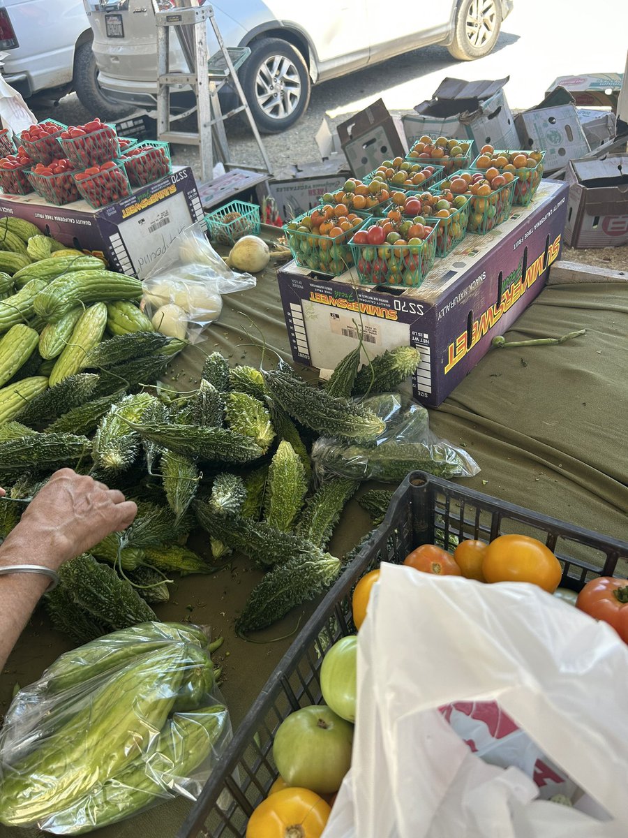 Karela gang meetup, please haazri lao