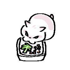 sillycritterz's tweet photo. https://t.co/Ee8EGrsYxk