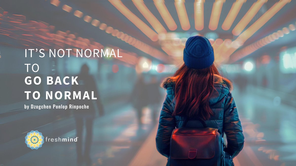 Dzogchen Ponlop R. tweet media