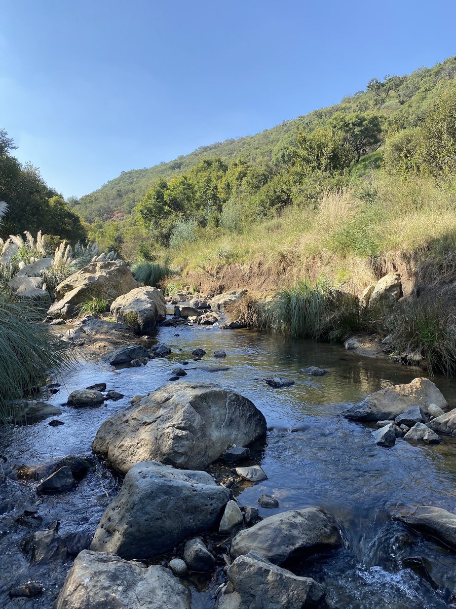 BuntuFanteso's tweet photo. ✅Excited to have completed fieldwork for the last sampling season of my fieldwork for my PhD component focusing on South Africa’s riverine ecosystems. With the incredible team from @ASRG_Lab, we sampled 30 streams across five provinces in South Africa 🌍. #PhDJourney #freshwater https://t.co/GKV3BEen5w