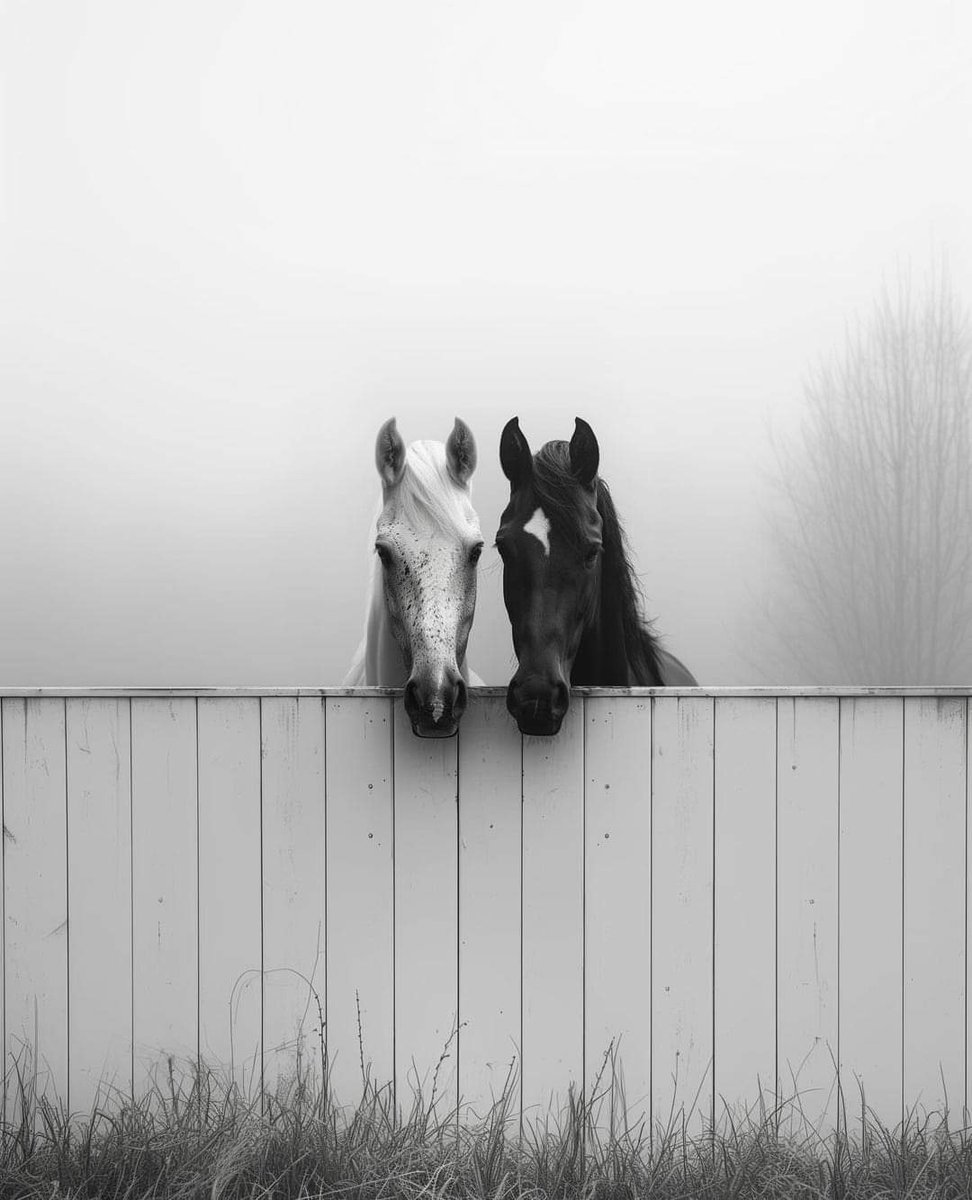 فكُلُّ امرِىءٍ يَصبو إلىٰ مَا يُناسِبه.🤍